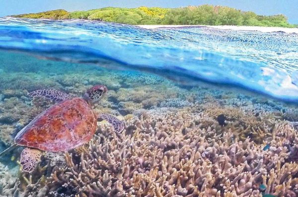 1274c1b85e86de4d51c691d238c68068