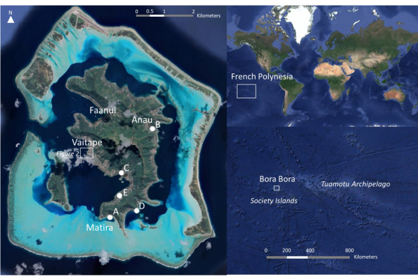 remotesensing-13-04692-g001